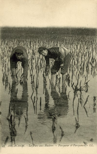 Arcachon, The Oyster Park by French Photographer