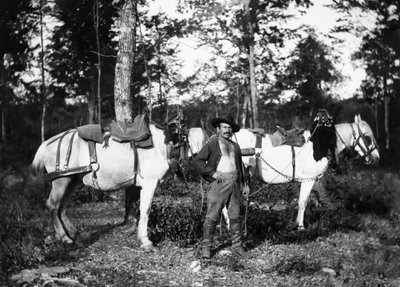 Bucheron with his horses, in the vicinity of Bourmont in Haute-Marne. Ducos Collection. by French Photographer