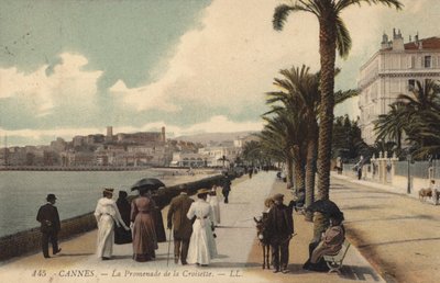 Cannes, La Promenade de la Croisette by French Photographer