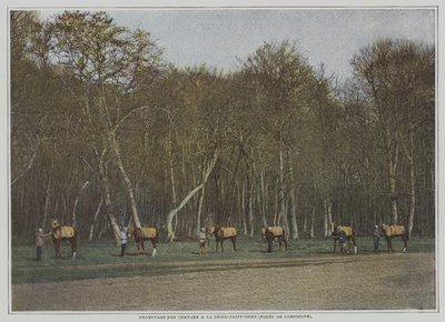 Exercising Racehorses at La Croix-Saint-Ouen in the Foret de Compiegne, France by French Photographer