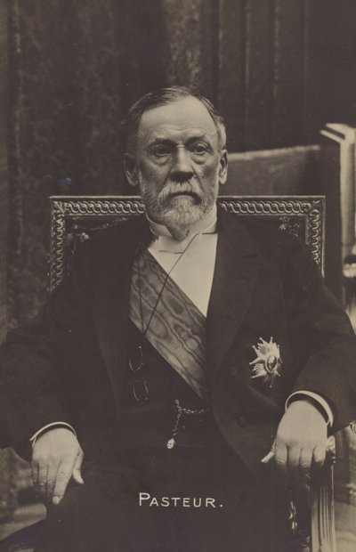 Louis Pasteur (1822-1895), French chemist and microbiologist by French Photographer