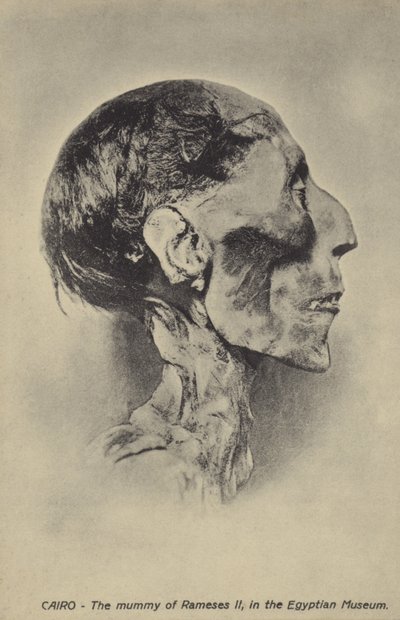 Mummy of Ramesses II by French Photographer