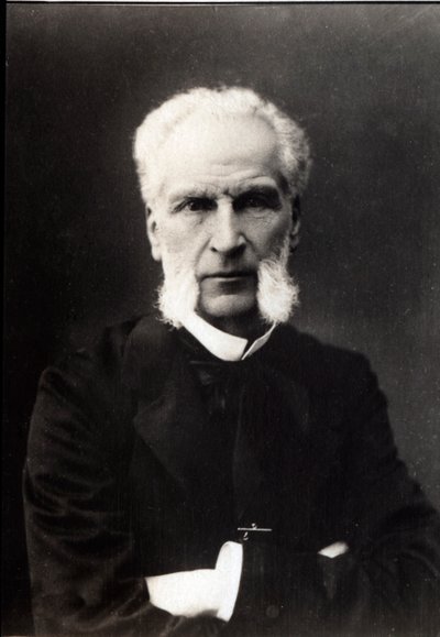 Portrait of Aime Joseph Edmond Rousse, French lawyer by French Photographer