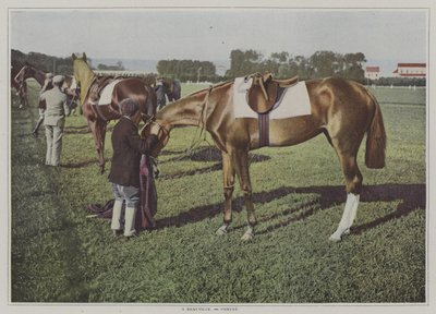 Racehorses at Deauville, France by French Photographer