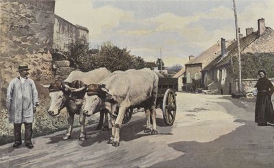 Saulieu, A Carriage in the Morvan by French Photographer