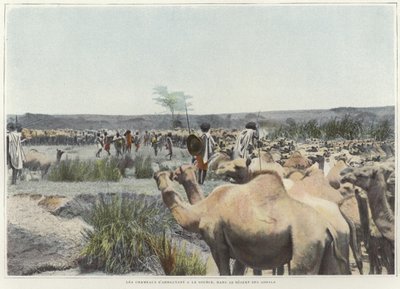 Watering the Camels at the Source in the Desert by French Photographer