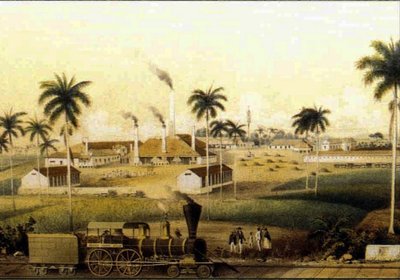 Manufacture of rum in the Caribbean Collection by French School
