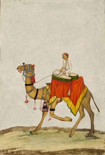 A Camel with its Rider playing Drums, c. 1840 by French School