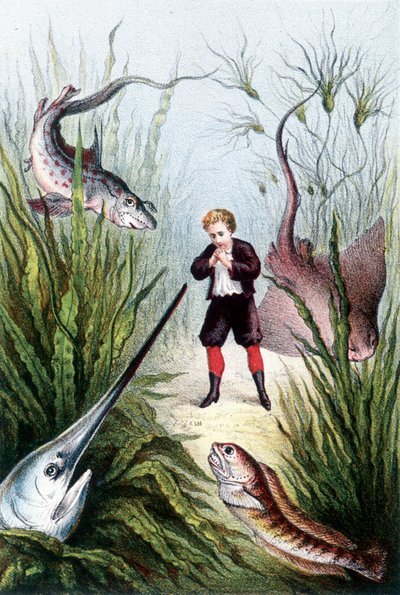 A Boy Surrounded by Giant Fish - in 