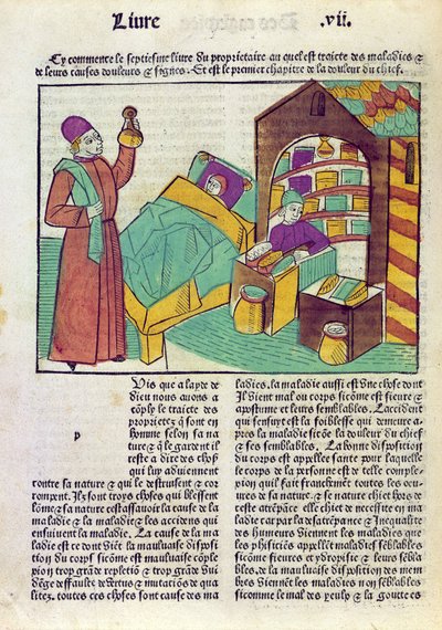 A patient with a doctor and a pharmacist, from Le Livre des Proprietes des Choses by Barthelemy l