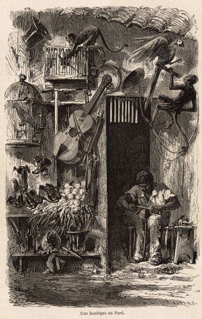 A shop at Para, illustration for Mr. Biard