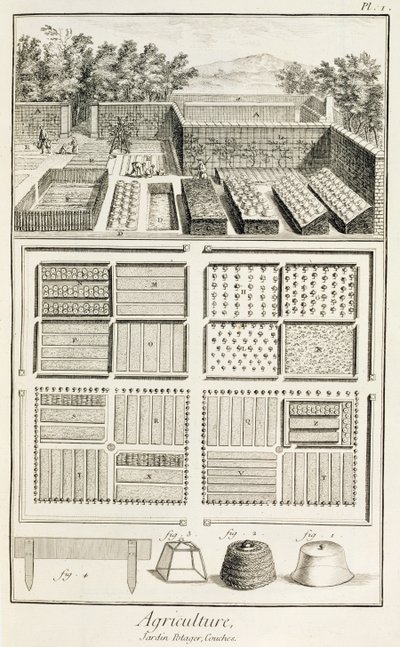 A vegetable garden, from The Encyclopedia of Science, Art and Engineering by Denis Diderot by French School