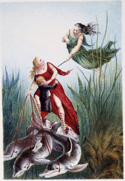 A woman attacking another woman and a boy led by dolphins - in 