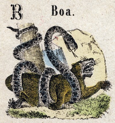 Abecedary. Letter B like Boa. Small Encyclopedic Alphabet, Popular Series. Epinal Imaging, late 19th century by French School
