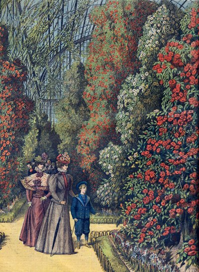 Camellia Greenhouse in a Botanical Garden by French School