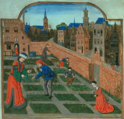 A walled town garden (from 