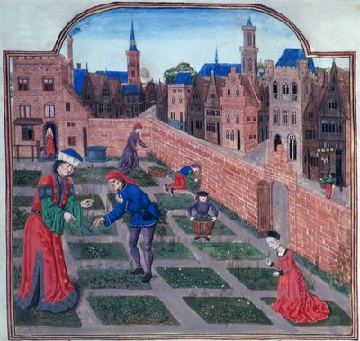 A walled herb garden in a town, from Livre des profits ruraux by Piero de Crescenzi of Bologna by French School