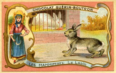 Advertising Chromolithography of Chocolates Guerin Boutron, Mammals, The Rabbit Cage and Wild, Warren by French School