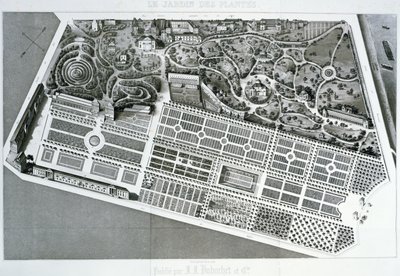 Aerial View of the Plan of the Jardin des Plantes in Paris, 1842 by French School