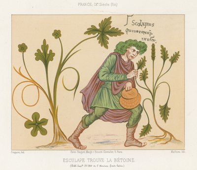 Aesculapius discovering betony by French School