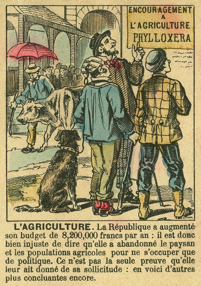 Agriculture illustrates the benefits of the Third Republic on agricultural investment and its concern for peasant populations. Engraving, in 