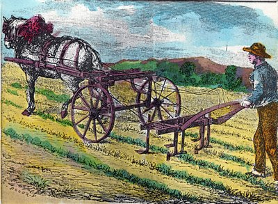 One of the first mechanical hoeing machines, with animal traction, used in a beet field by French School
