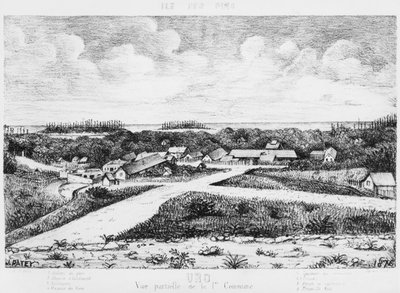 Album of the Isle of Pines, Uro, 1878-79 by French School