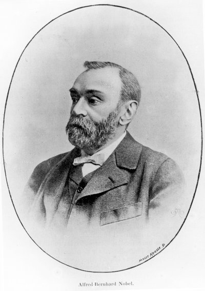 Alfred Bernhard Nobel by French School