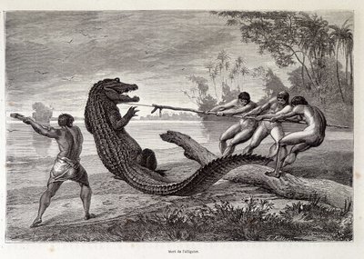Alligator Hunt, Brazil, 