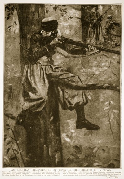 An Algerian Sharpshooter at work in the shelter of a wood by French School