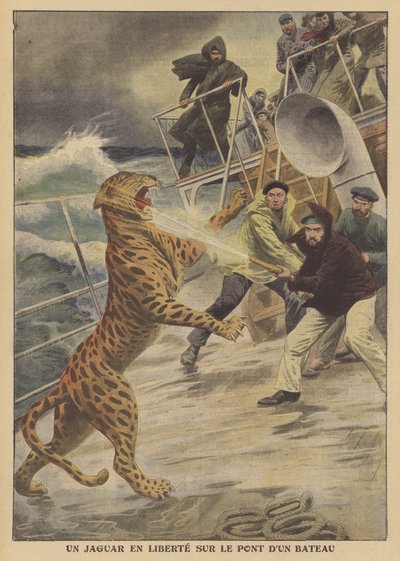 An escaped jaguar at large on a ship by French School