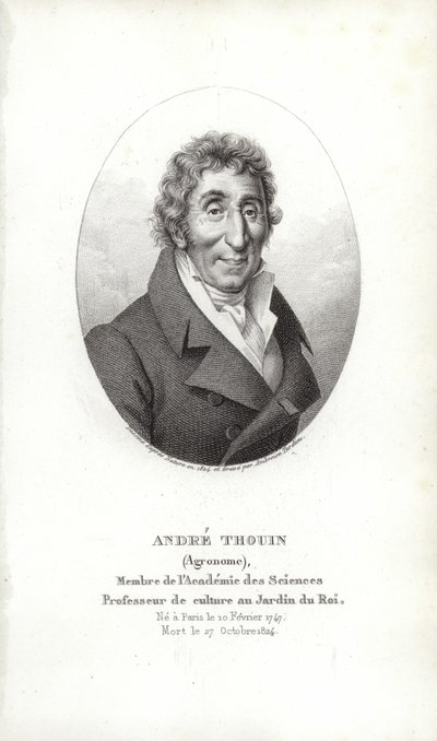 André Thouin by French School