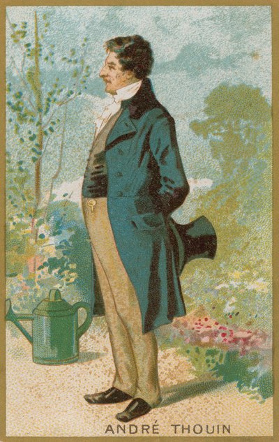 Andre Thouin by French School