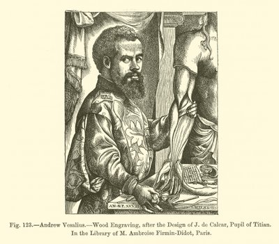 Andrew Vesalius by French School