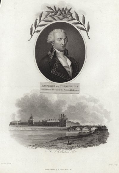 Antoine de Jussieu by French School