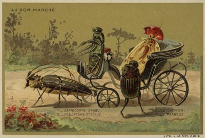 Au Bon Marche cards featuring anthropomorphic insects by French School