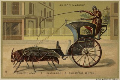 Au Bon Marche cards featuring anthropomorphic insects by French School
