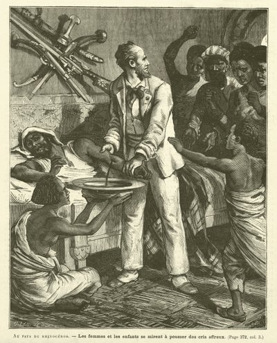 In the Land of the Rhinoceros (engraving) by French School