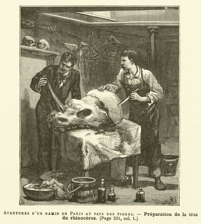 Adventures of a Parisian Kid in the Land of Tigers (engraving) by French School