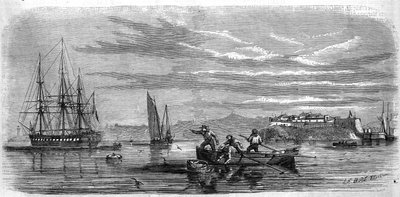 Baby Collected by the Mosses of the Frigate School Thetis. Brest (Finistere, 29) by French School