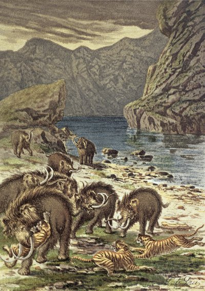 Battle between mammoths and sabre-toothed tigers, from Le Monde Avant la Creation d