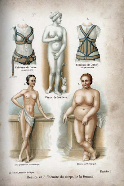 Beauty and Deformity of the Woman