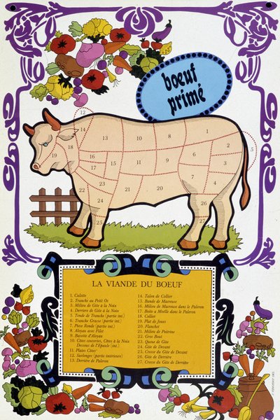Beef meat and its pieces - Butcher poster, 20th century by French School