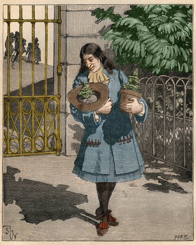 Bernard de Jussieu, French botanist bringing two cedars from Lebanon from England in 1734. Engraving from 1885 in 