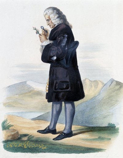 Bernard de Jussieu - in Ed. Mennechet, 