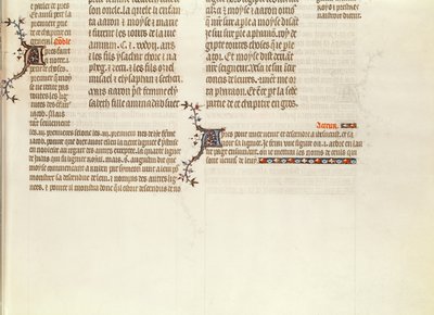 Bottom of a page without a miniature, from The Bible of Jean de Sy, c.1355 by French School