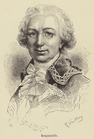 Bougainville (engraving) by French School