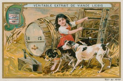 Bulldog and Fox Terrier by French School