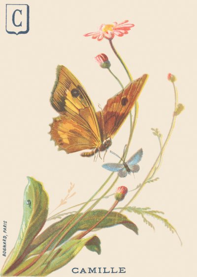 Camille by French School