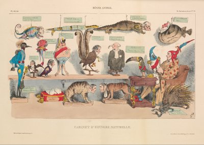 Cabinet of Natural History, from La Caricature by French School